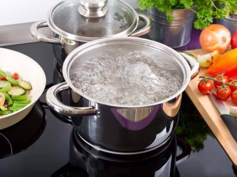 Why Is My Pressure Cooker Not Whistling? (Read This First!) HomeApricot