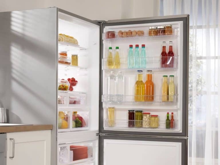 Can Mold Grow in the Freezer & Refrigerator? (Explained)