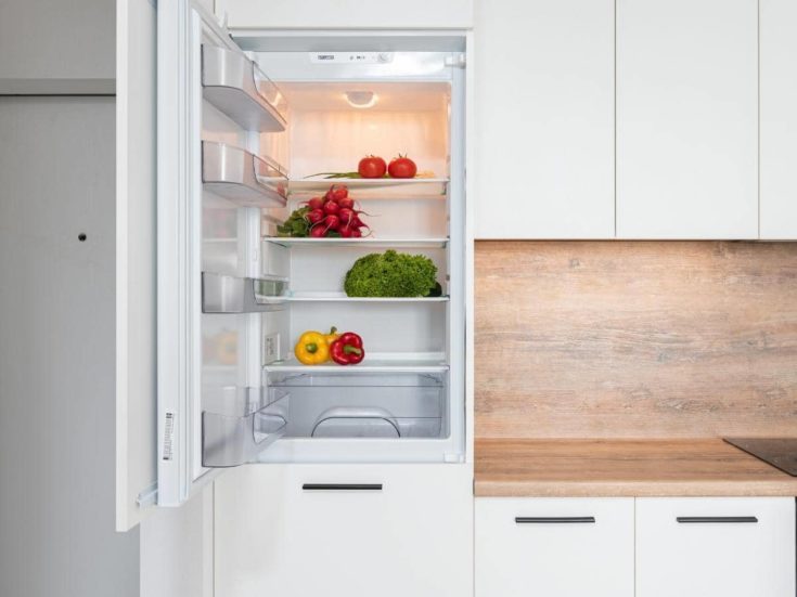 Do Refrigerators Need a Water Line? (Read This First!) HomeApricot