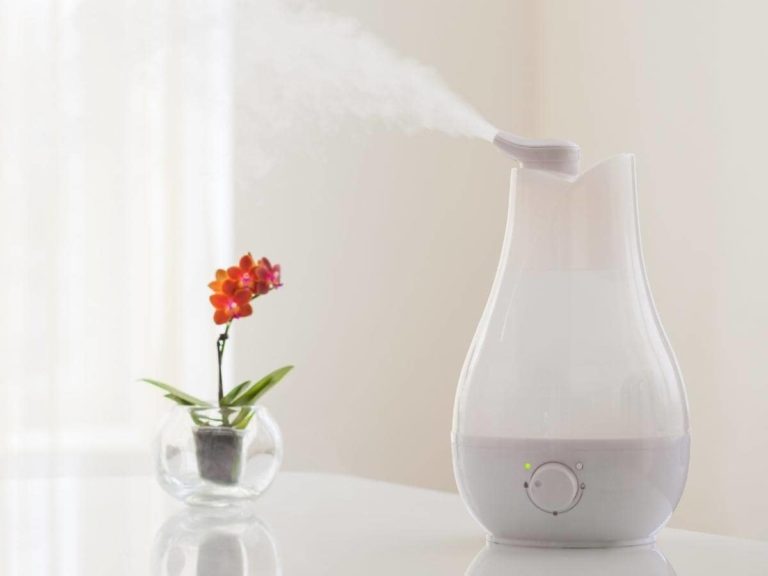 Why Is There a Red Light on My Homedics Humidifier? HomeApricot