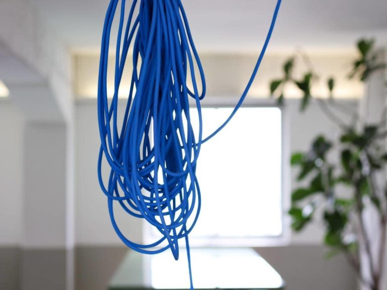 What Is the Blue Wire on a Ceiling Fan? (Explained)